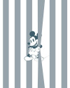 Mickey Offbeat