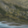 Along the River