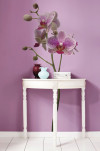Orchidee