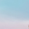 Frozen Iconic