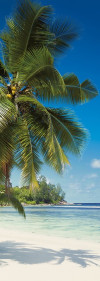 Coconut Bay