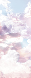 Clouds Panel