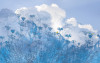 Blue Sky II
