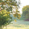 Meadow Trail