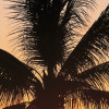 Hawaii