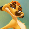 Lion King Jungle