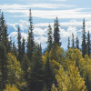 Atlin Road