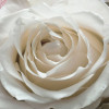 Floraison