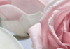 Floraison