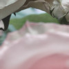 Floraison