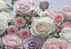 Floraison