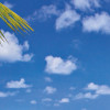 Beach Resort