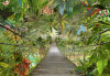 Wild Bridge