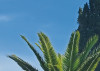 Villa Liguria