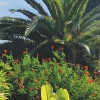 Villa Liguria