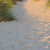 Sandy Path