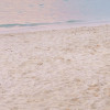 Paradise Morning