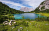 Paradise Lake