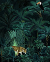 Jungle Night