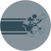 DOT Mickey Bonjour