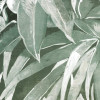 Primeval Forest