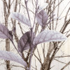 Place de l'imagination