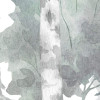 White Birches