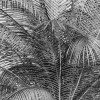Coco de Paradis