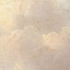Relic Clouds