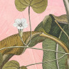 Botany