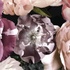 Enchanted Flowers