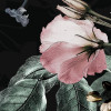 Enchanted Flowers