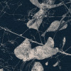 Branch