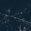 Branch