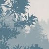 Blue Valley