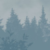Blue Valley