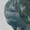 Gaia