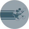 DOT Mickey Bonjour