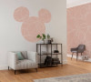Mickey on Detours
