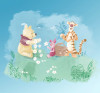 Winnie the Pooh Picnic