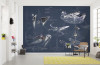 Star Wars Blueprint Dark