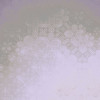 Fractal Flakes