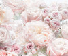Floral Pur