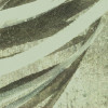Palmenspiel