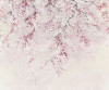 Kirschblüte