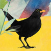 Twittering