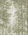 Fading Forest