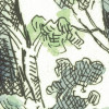 Forest Fairy