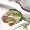 Gentle Grace