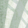Botanical Boho